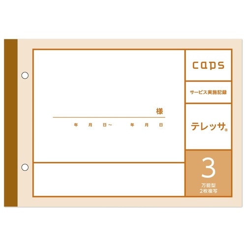 看護・介護記録用紙 テレッサ3 サービス