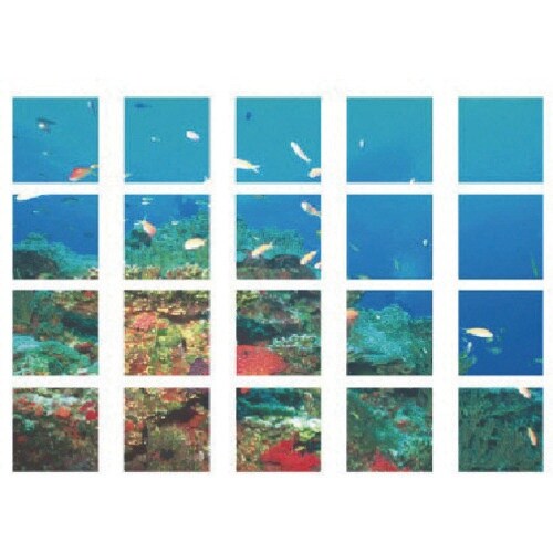 ユニット マルチシート 海の仲間たち スコッチプリ