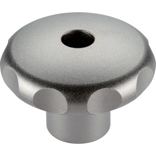 HALDER スターグリップ ステンレス鋼 削り出