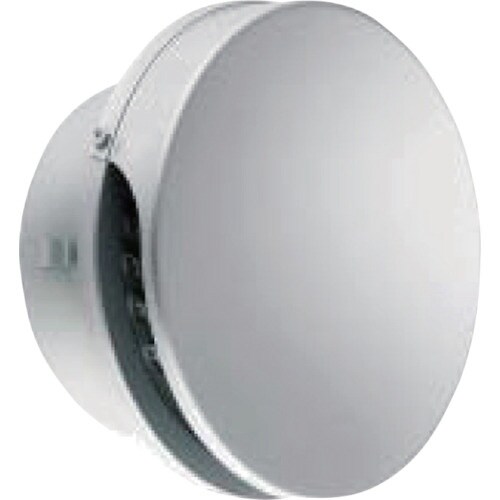 JAPPY ステンフラット型スリムフード 100Φ