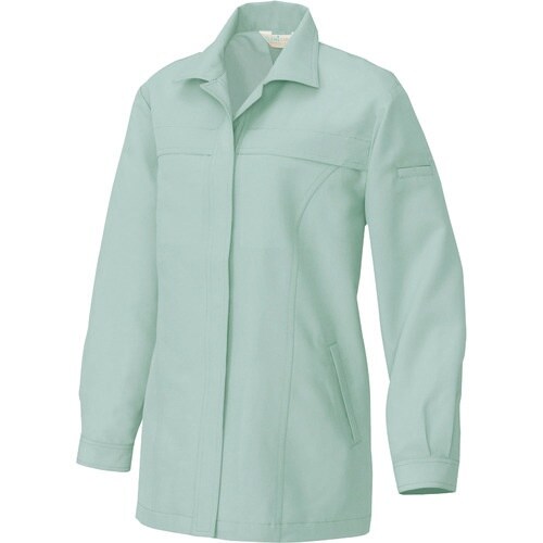 アイトス レディース長袖スモック グリーン 5L