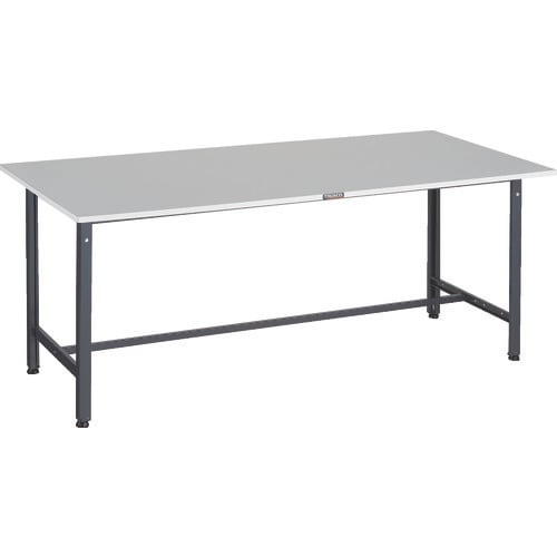 TRUSCO 軽荷重作業台(300kg)RAE2型