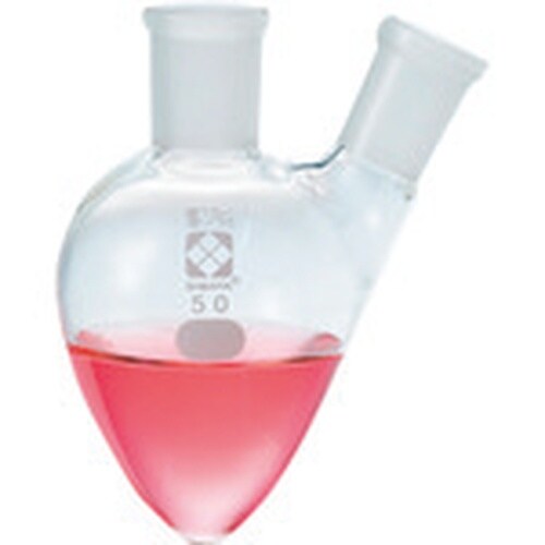 TGK 共通二口梨形フラスコ29−15 200mL