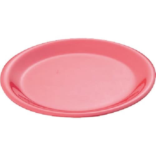 TKG カーライル シーラス ディナープレート 2