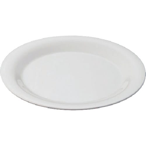 TKG カーライル シーラス ディナープレート 2