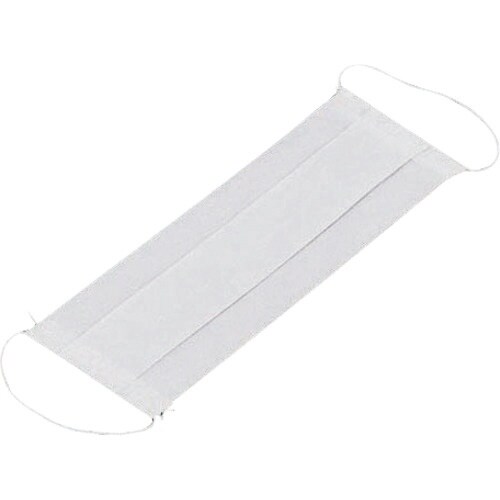 TKG パル エコノミーフェイスマスク N4911