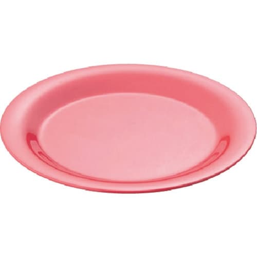 TKG カーライル シーラス ディナープレート 2