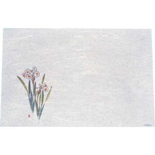 TKG アーテック 遠赤抗菌和紙 尺3まっと(10