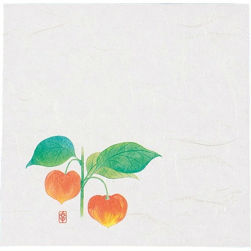 TKG アーテック ニュー四季懐紙 5寸(100枚