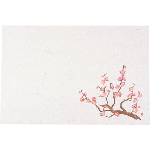 TKG ヤマコー 尺3四季懐石まっと(50枚入)