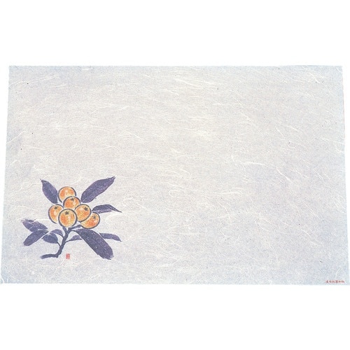 TKG アーテック 遠赤抗菌和紙 尺3まっと(10