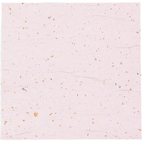 TKG アーテック ニュー四季懐紙 5寸(100枚