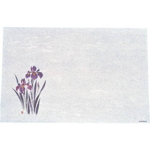 TKG アーテック 遠赤抗菌和紙 尺3まっと(10