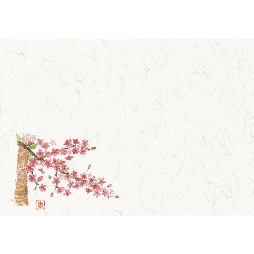 TKG 丸幸製紙 四季壊紙 テーブルマット(100