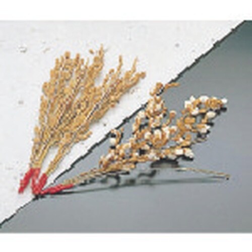 TKG ヤマコー 稲穂 (100ヶ入)