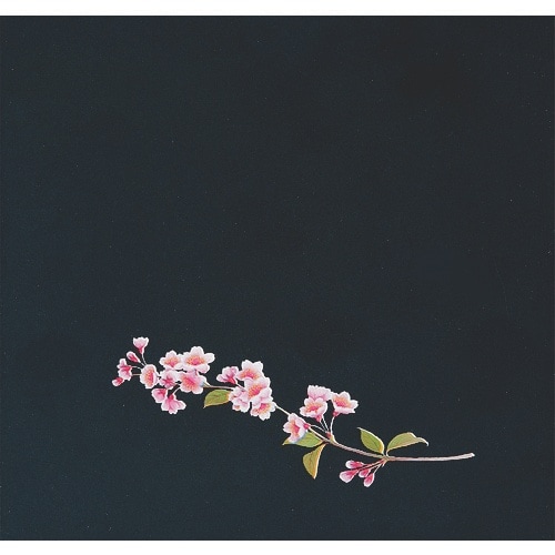 TKG アーテック OPクリア四季 桜(200枚入