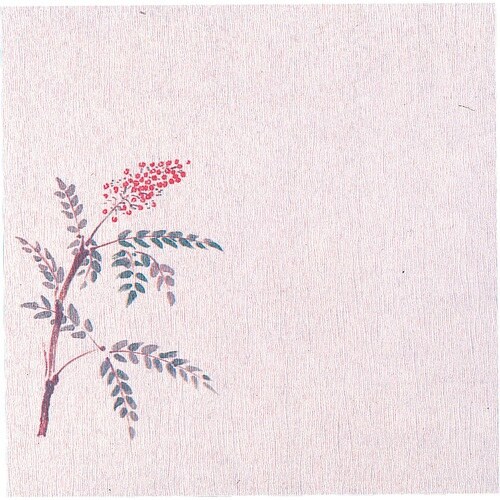 TKG ヤマコー グルメ敷紙5寸(100枚入)南天