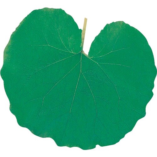 TKG ヤマコー 型抜きクリアシート(200枚入)