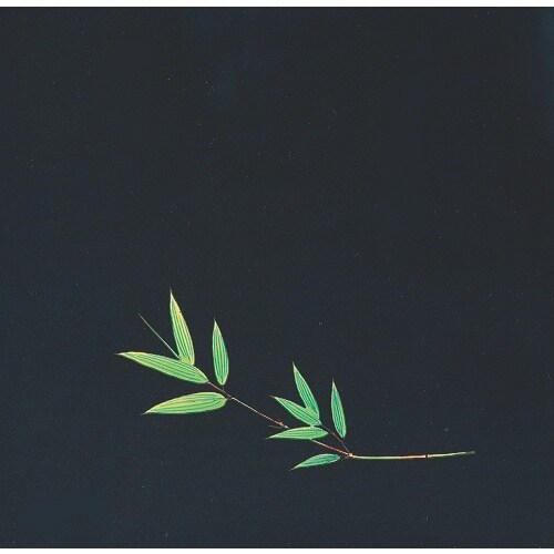 TKG アーテック OPクリア四季 笹(200枚入