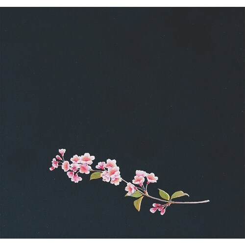 TKG アーテック OPクリア四季 桜(200枚入