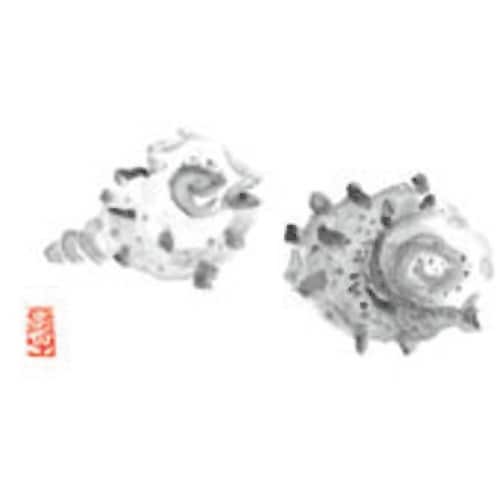 TKG カミイソ 尺3 テーブルマット(100枚入