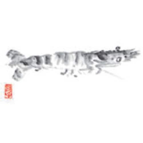 TKG カミイソ 尺3 テーブルマット(100枚入