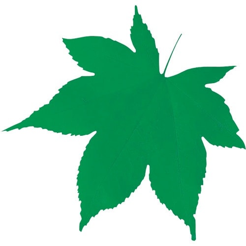 TKG ヤマコー 型抜きクリアシート(200枚入)