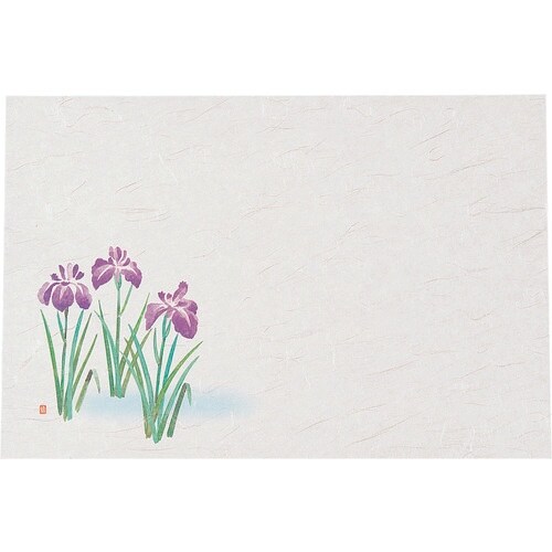 TKG ヤマコー 尺3四季懐石まっと(50枚入)