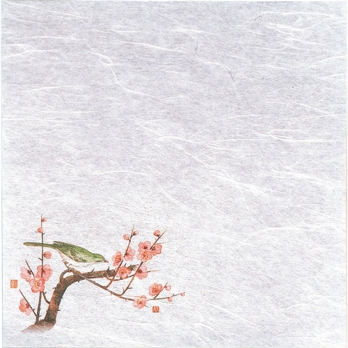 TKG ヤマコー 新・濡れ奉書紙(100枚入) 梅