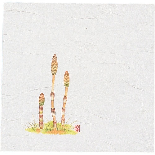 TKG アーテック ニュー四季懐紙 5寸(100枚