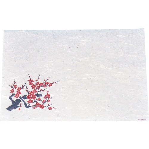 TKG アーテック 遠赤抗菌和紙 尺3まっと(10