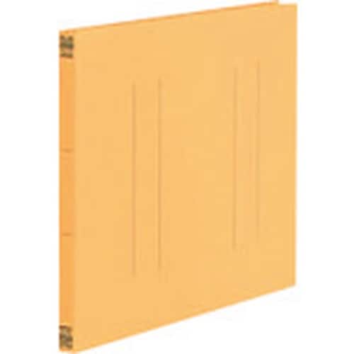 PLUS 887786)フラットファイル縦罫B6E