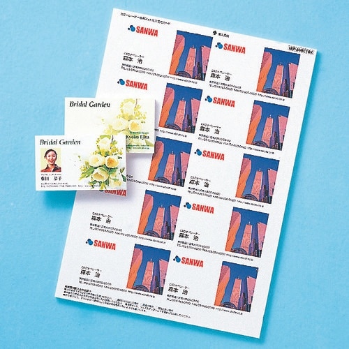 SANWA カラーレーザー用フォト光沢名刺