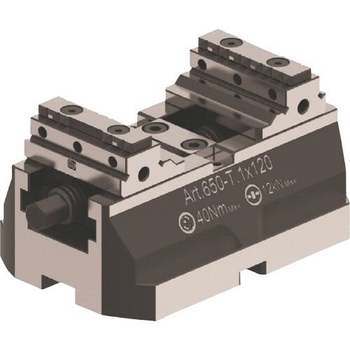 ジェラルディ コンパクトGバイス650 T1 50