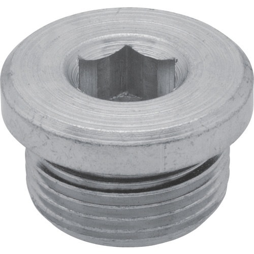 kipp スクリュー プラグ(スチール製)