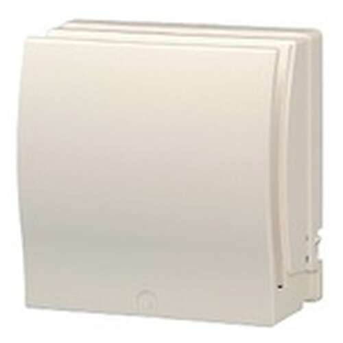 U.K パイプファン