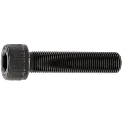 SUNCO ステンCAP(細目 ピッチ 1.0 1