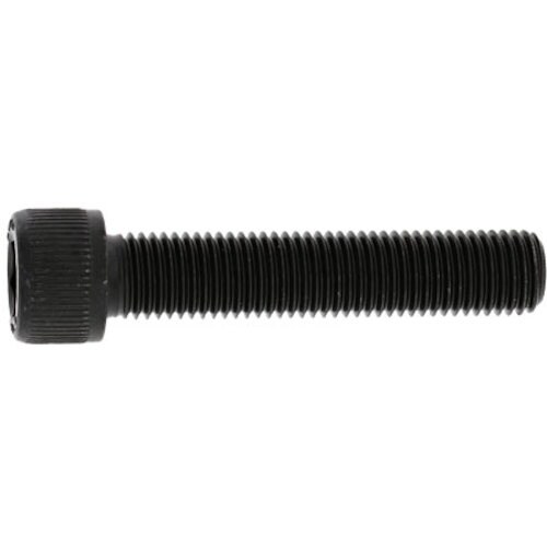 SUNCO CAP(全ネジ 細目P−1.5 12×