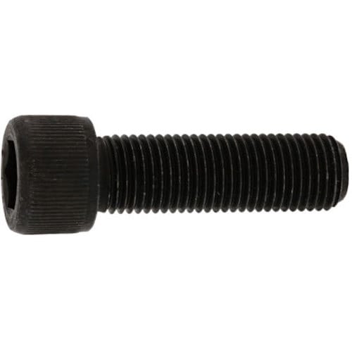 SUNCO CAP(UNF1/4×11/2(100