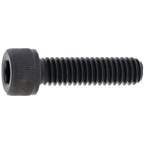 SUNCO CAP(ウィット 1/2×100 (2