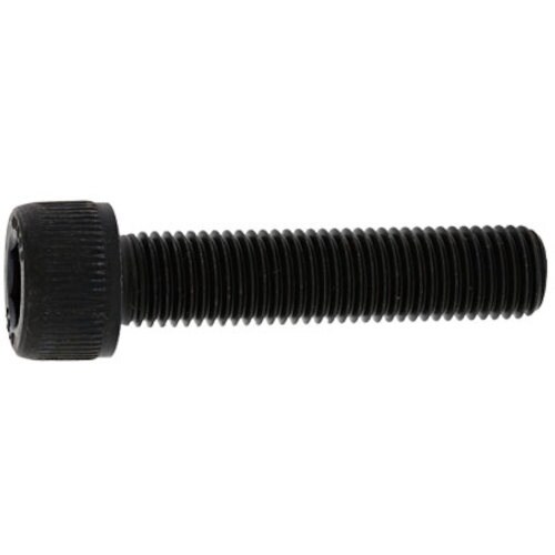 SUNCO CAP(全ネジ 細目P−1.25 10