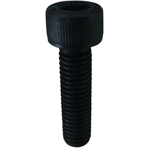 DAIDOHANT 黒色 六角穴付ボルト M8×2