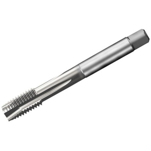 SANDVIK コロタップ200 ポイントタップ(
