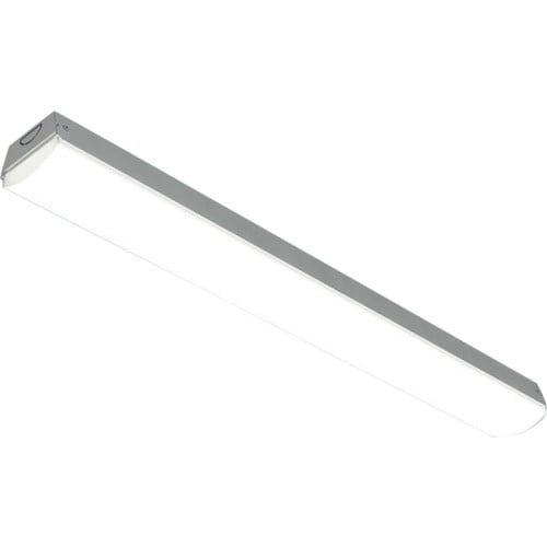 IRIS 41007804 ベースライト トラフ型