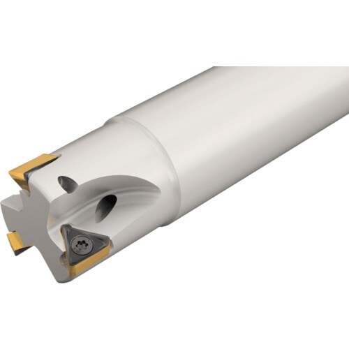 イスカル ヘリドゥ690 リードエンドミル H69