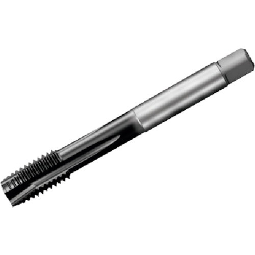 SANDVIK コロタップ200 ポイントタップ(