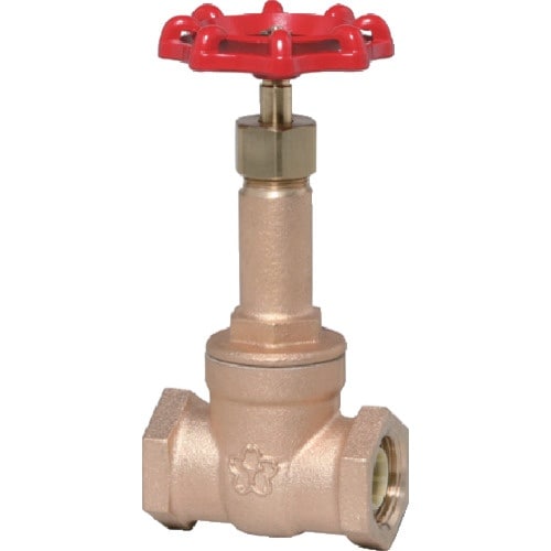 大和バルブ 給湯用コアリング付きゲートバルブ 10