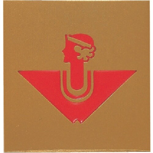 光 サインプレート 女