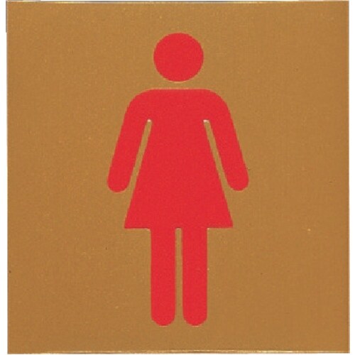 光 サインプレート 女