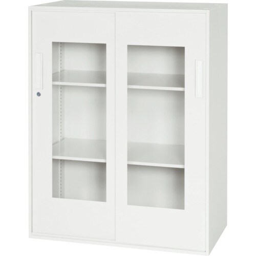 DAISHIN 壁面収納庫窓付き2枚窓付き引戸タイ